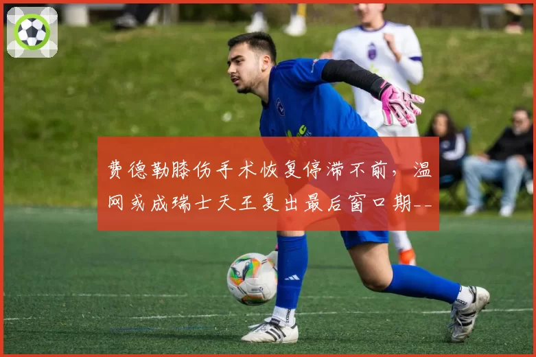 费德勒膝伤手术恢复停滞不前,温网或成瑞士天王复出最后窗口期__br_