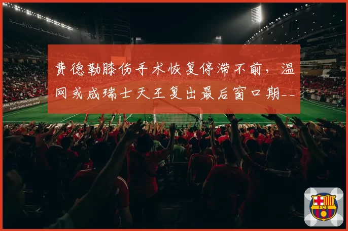 费德勒膝伤手术恢复停滞不前,温网或成瑞士天王复出最后窗口期__br_